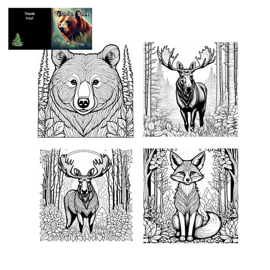 The Woodlands: A Coloring Book for Adults and Teens