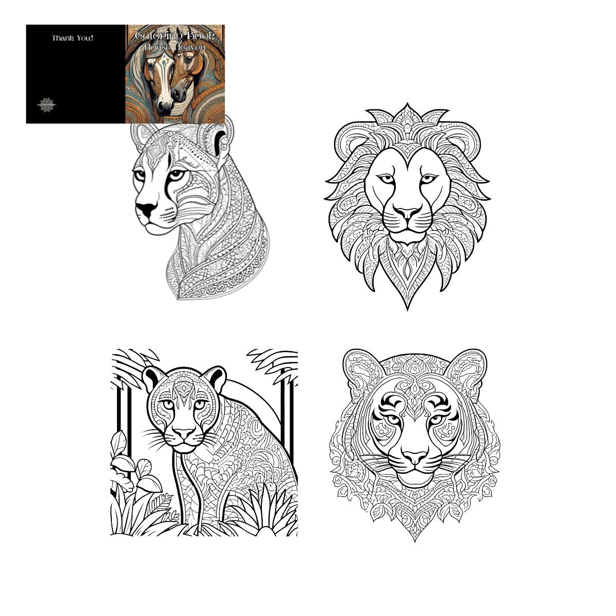 The Kingdom of Cats: Coloring Book