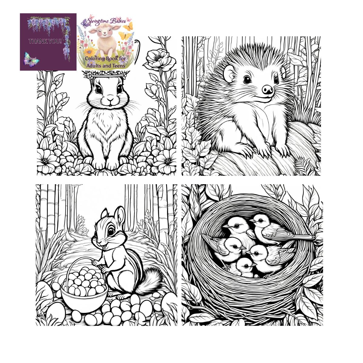 Springtime Babies, Coloring Book